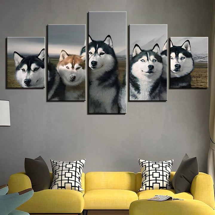 Schattige Husky - Gezichten 5 Platen Diamond Painting