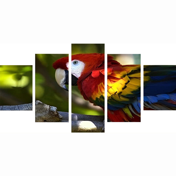 Schitterende Ara's 5 Platen Diamond Painting