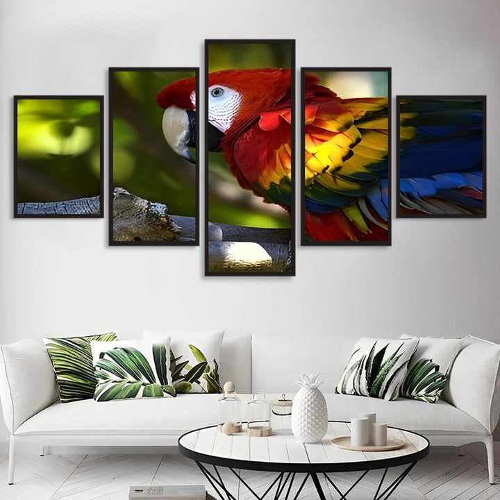 Schitterende Ara's 5 Platen Diamond Painting