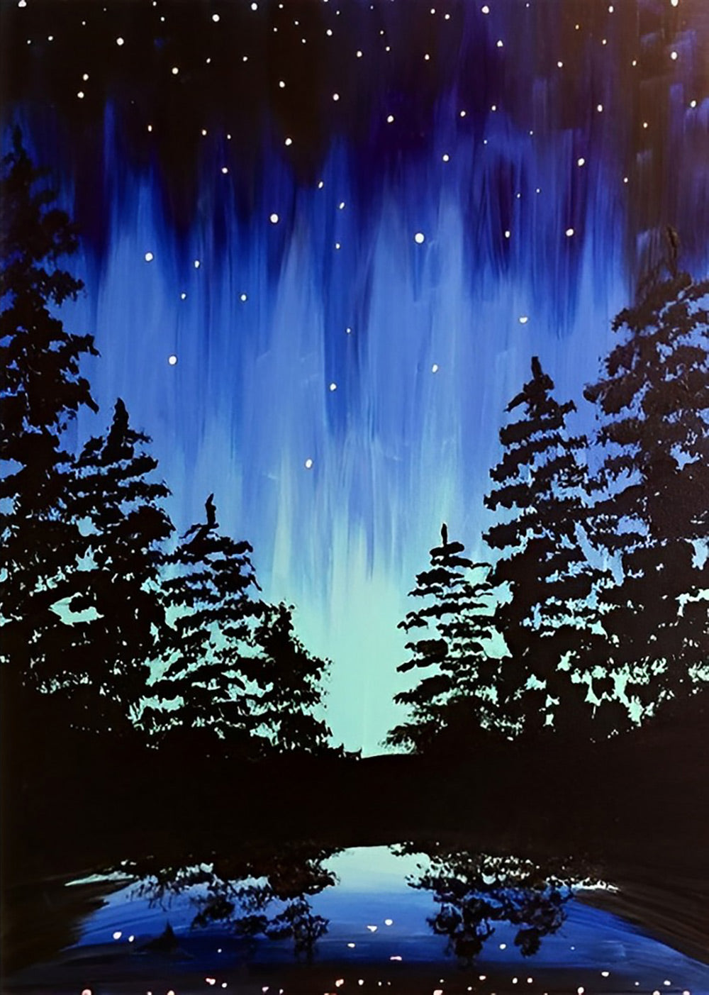Sereen Sterrenhemelgezicht met Aurora en Naaldboombossen Diamond Painting