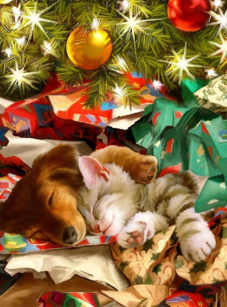 Slapende Huisdieren Diamond Painting