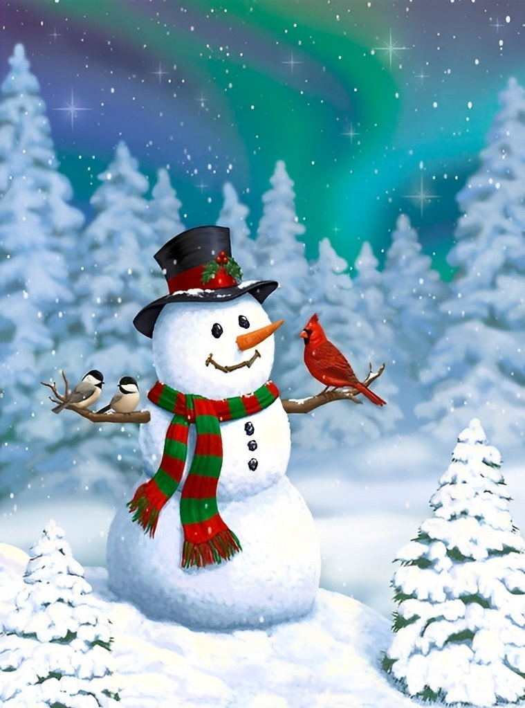 Sneeuwpop met Vogels onder het Aurora-licht Diamond Painting