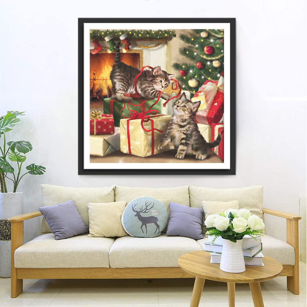 Speelse Kittens bij Cadeaus Diamond Painting