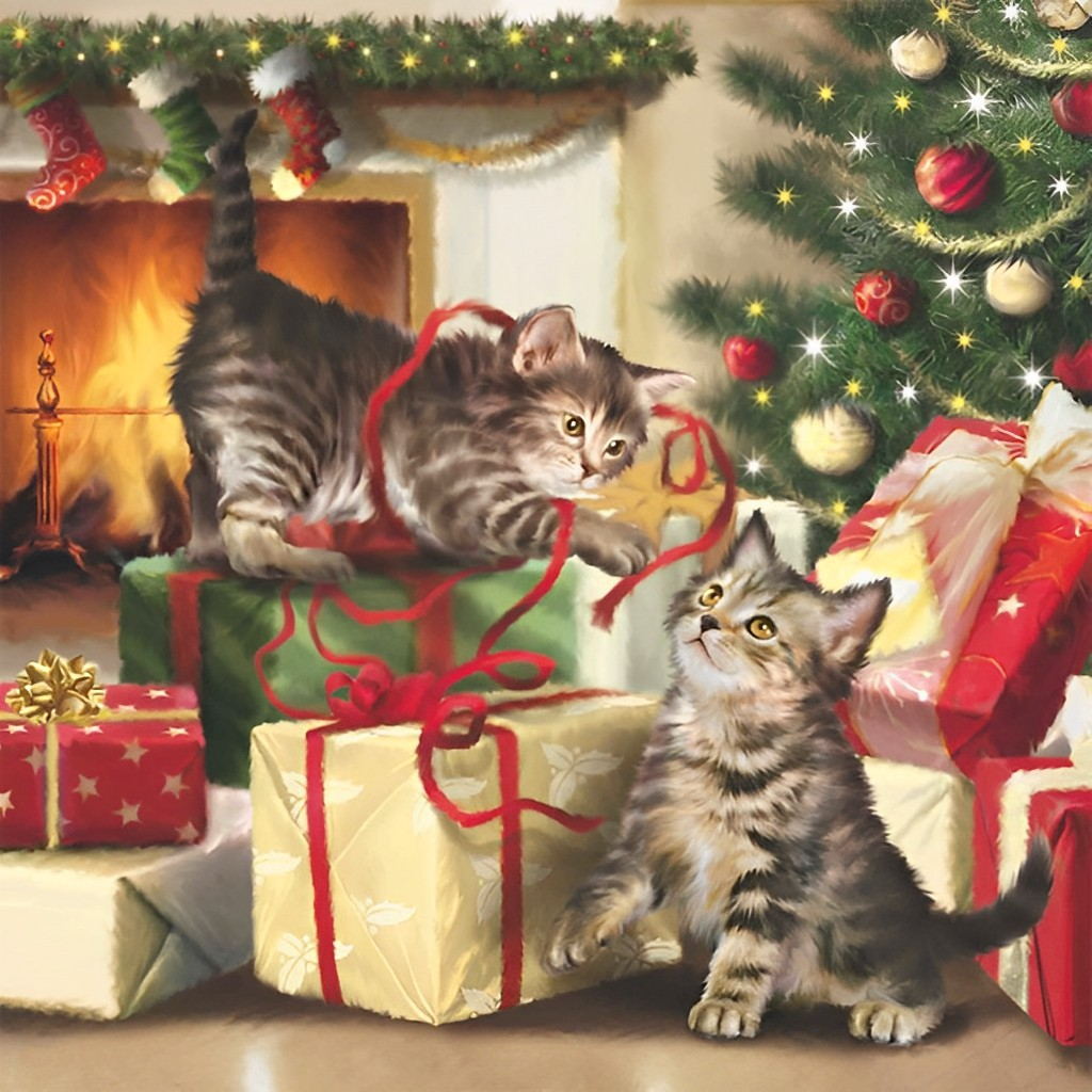 Speelse Kittens bij Cadeaus Diamond Painting