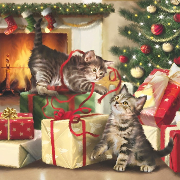 Speelse Kittens bij Cadeaus Diamond Painting