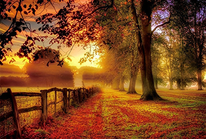 Stille Warmte van het Herfstbospad Diamond Painting