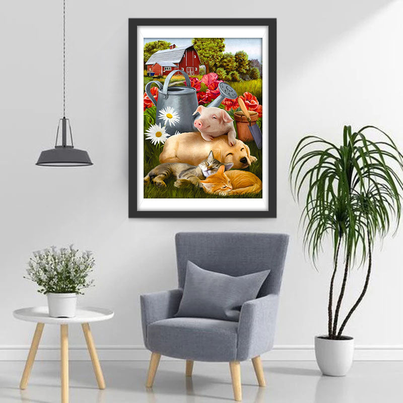 Varken, Hond en Katten in de Wei Diamond Painting