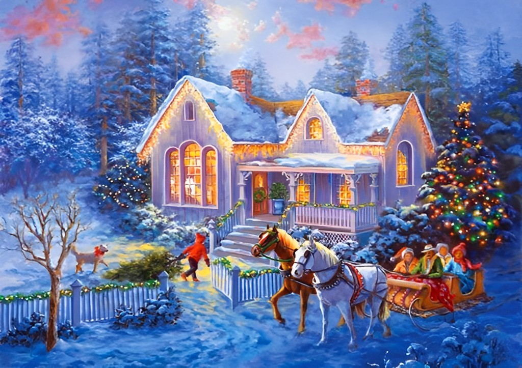 Winters Huis met Verlichte Ramen en Kerstboom Diamond Painting