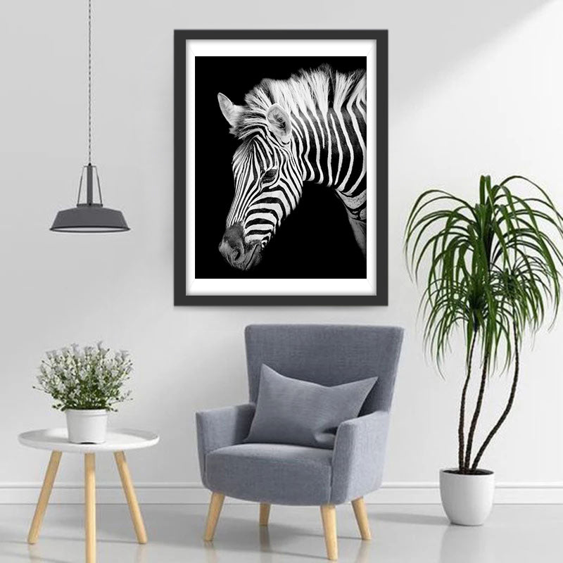 Zebra op een Zwarte Achtergrond Diamond Painting