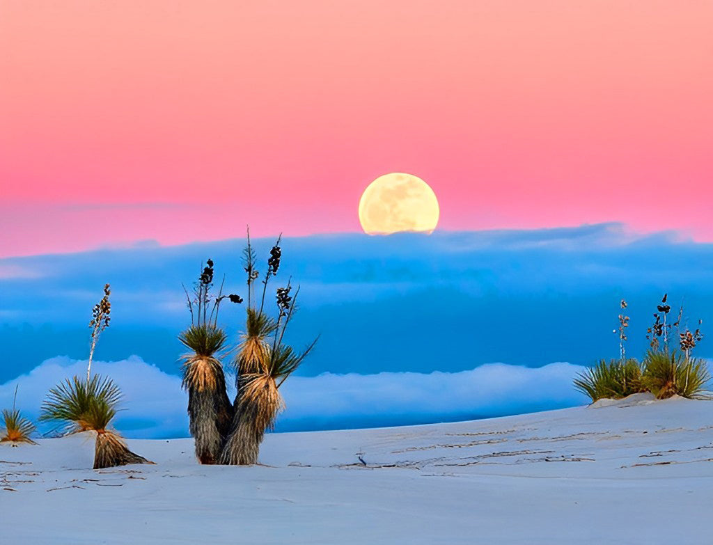 Zonsondergang in de Woestijn Diamond Painting