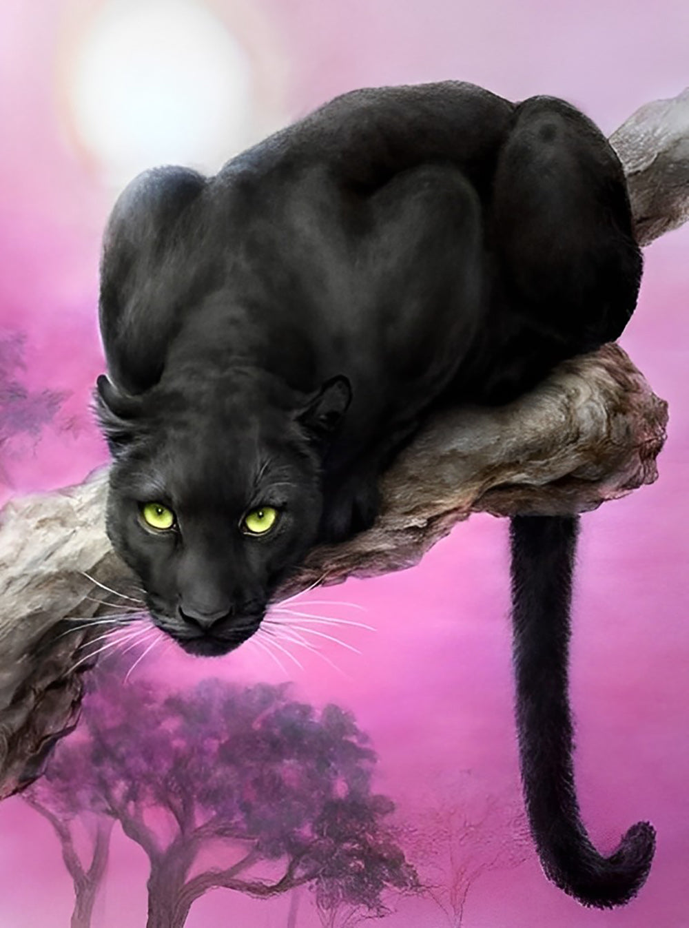 Zwarte Kat op een Boom onder een Roze Lucht Diamond Painting