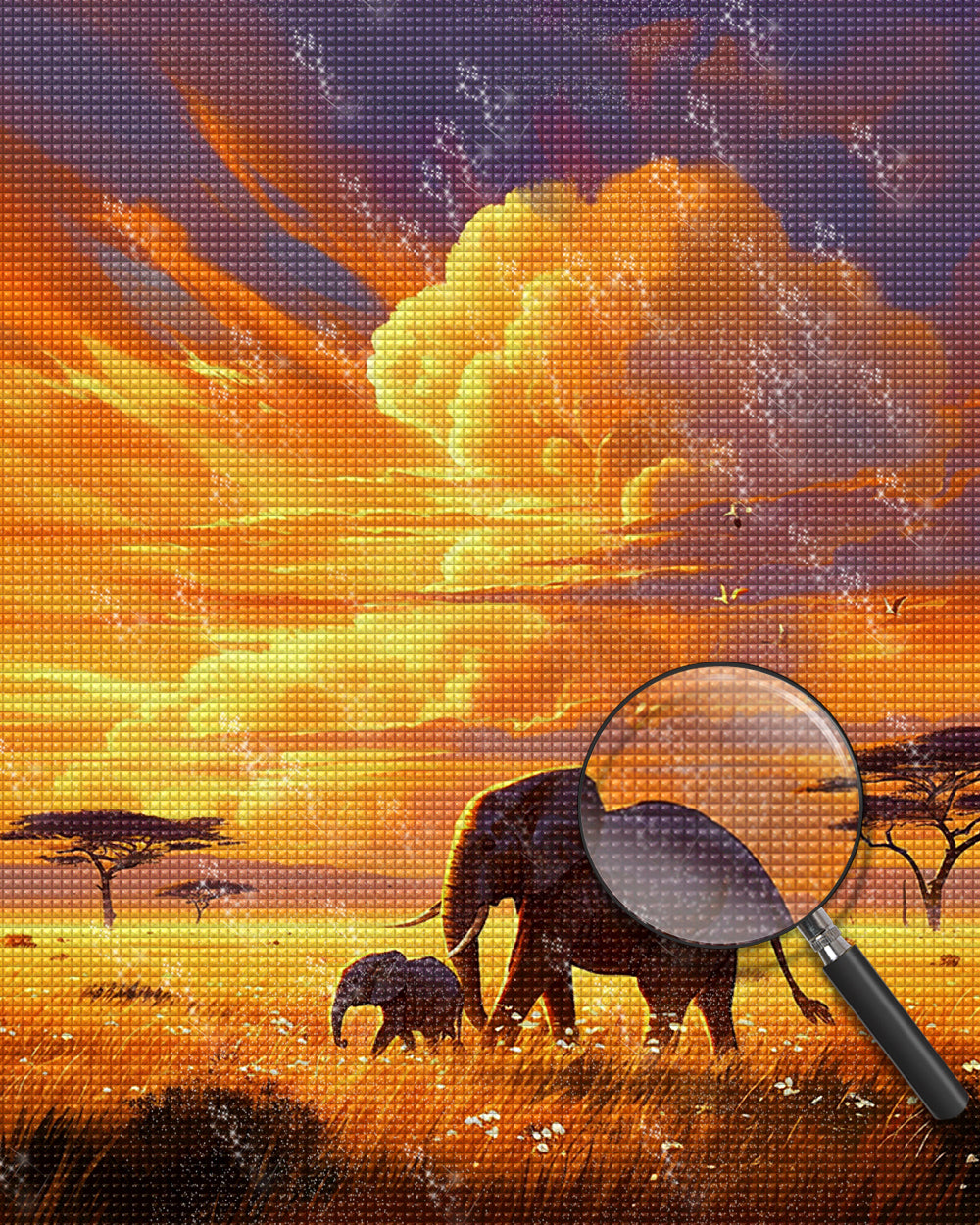 Olifant Diamond Painting DPLOMAYL201