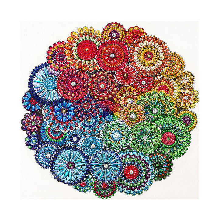 Regenboog Mandala Speciaal Gevormde Boren Diamond Painting