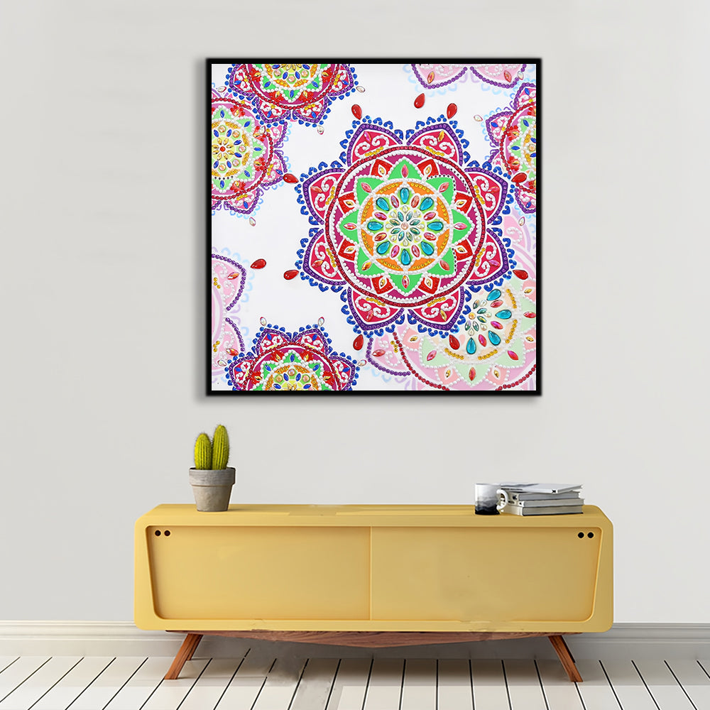 Rode en Roze Mandala Speciaal Gevormde Boren Diamond Painting