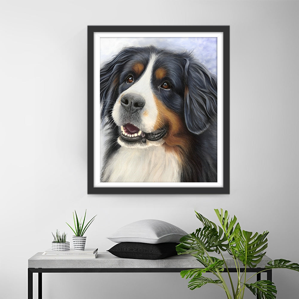 Bernese Berg Hond Diamond Painting