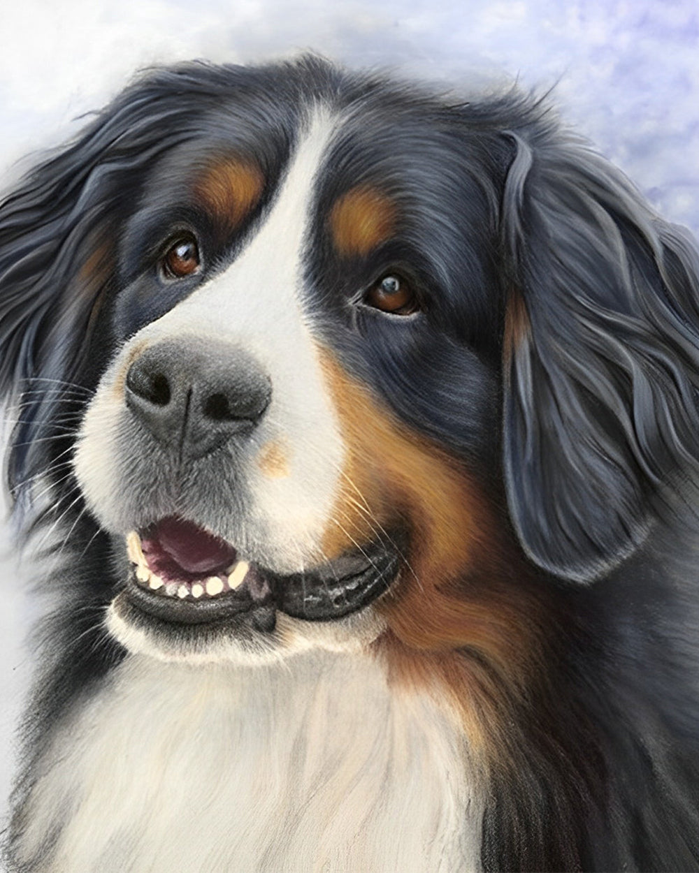 Bernese Berg Hond Diamond Painting