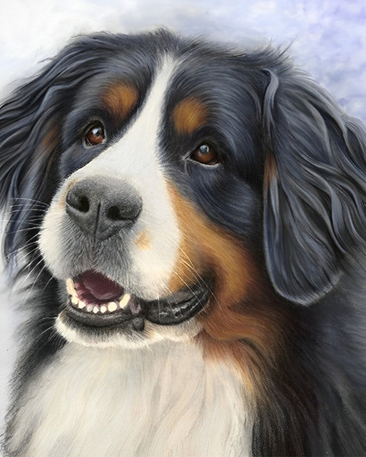 Bernese Berg Hond Diamond Painting
