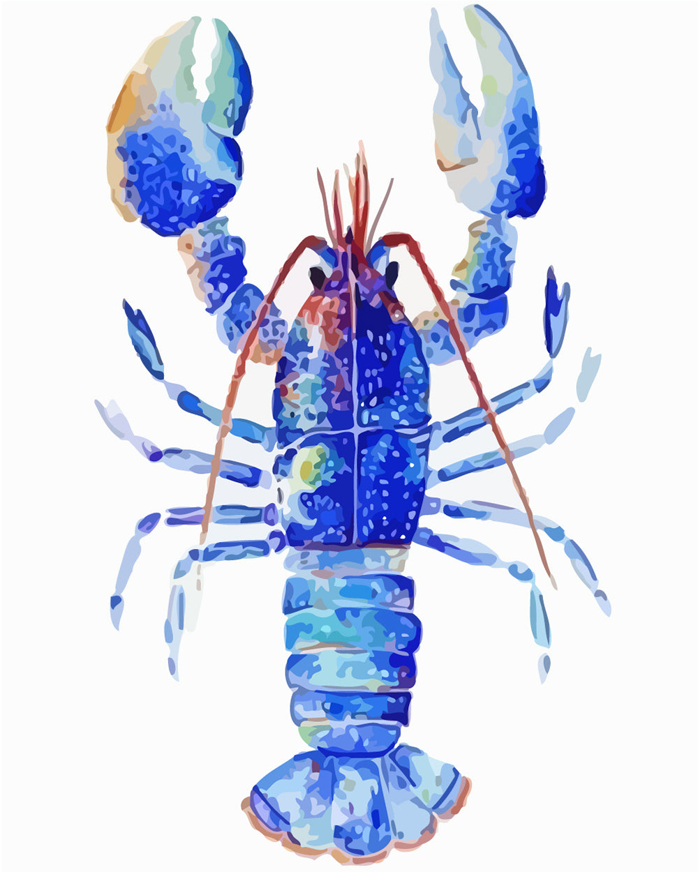 Blauwe Kreeft Diamond Painting