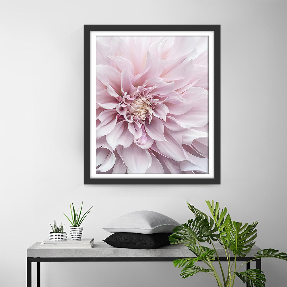 Bloeiende Roze Chrysant Diamond Painting