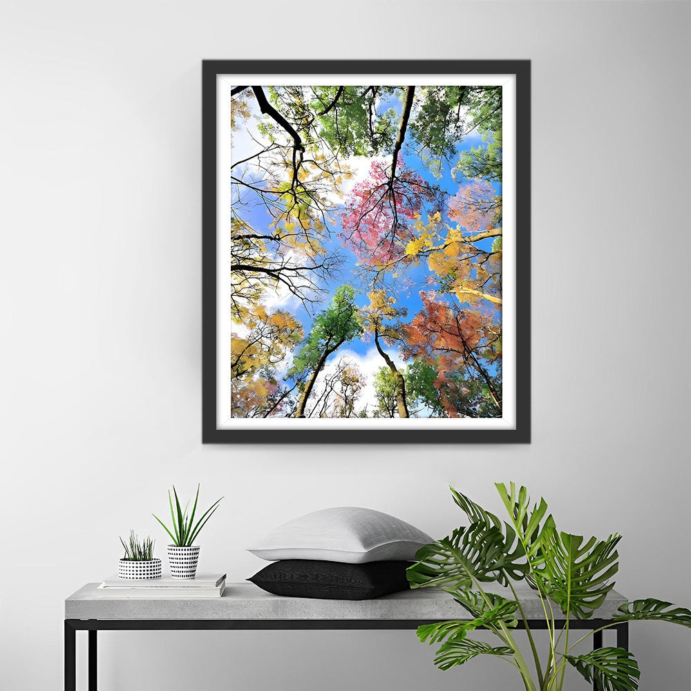 Boomkruin onder Blauwe Lucht Diamond Painting