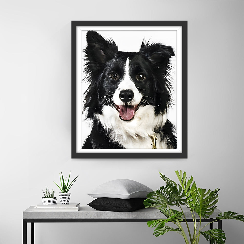 Border Collie Hond Diamond Painting
