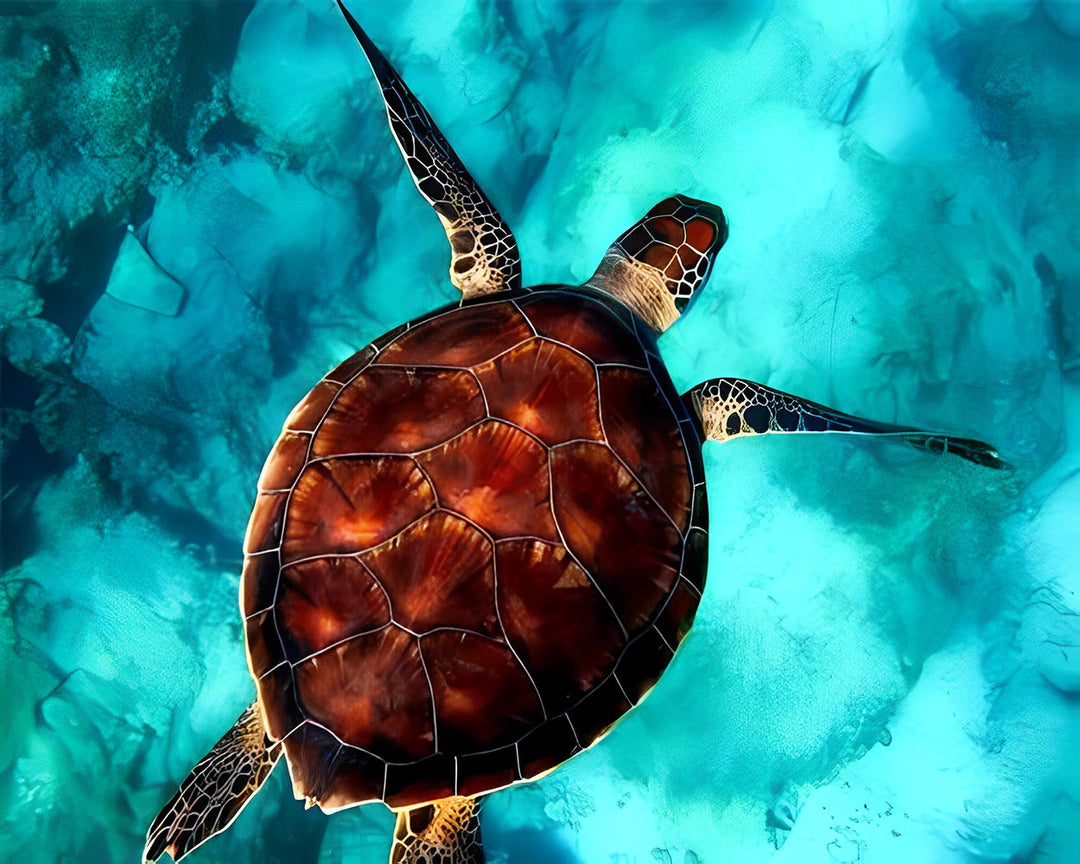 Bruine Zeeschildpad Diamond Painting