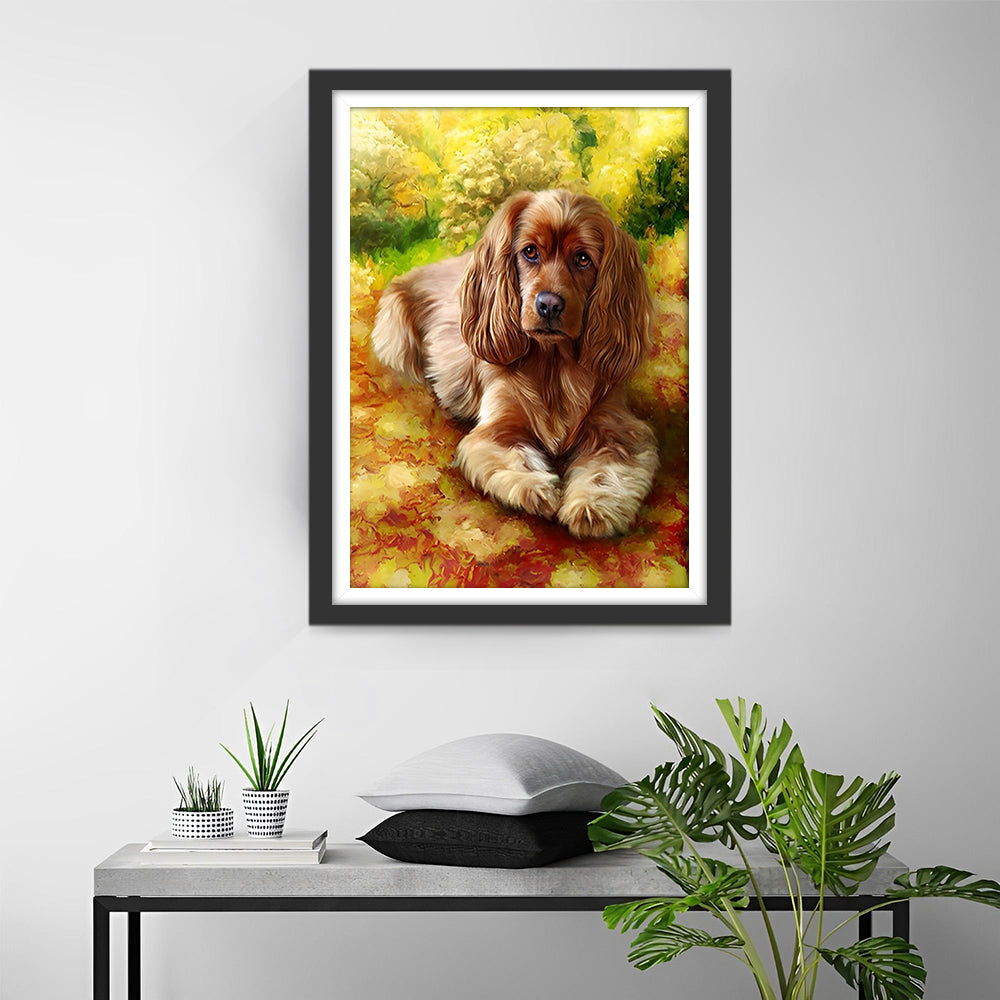 Cocker Spaniel op de Weide Diamond Painting