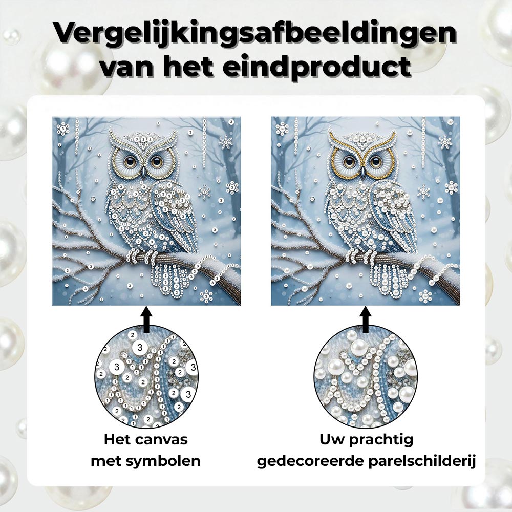 Diamond Painting | Parel Schilderij | Uil in het Sneeuwbos
