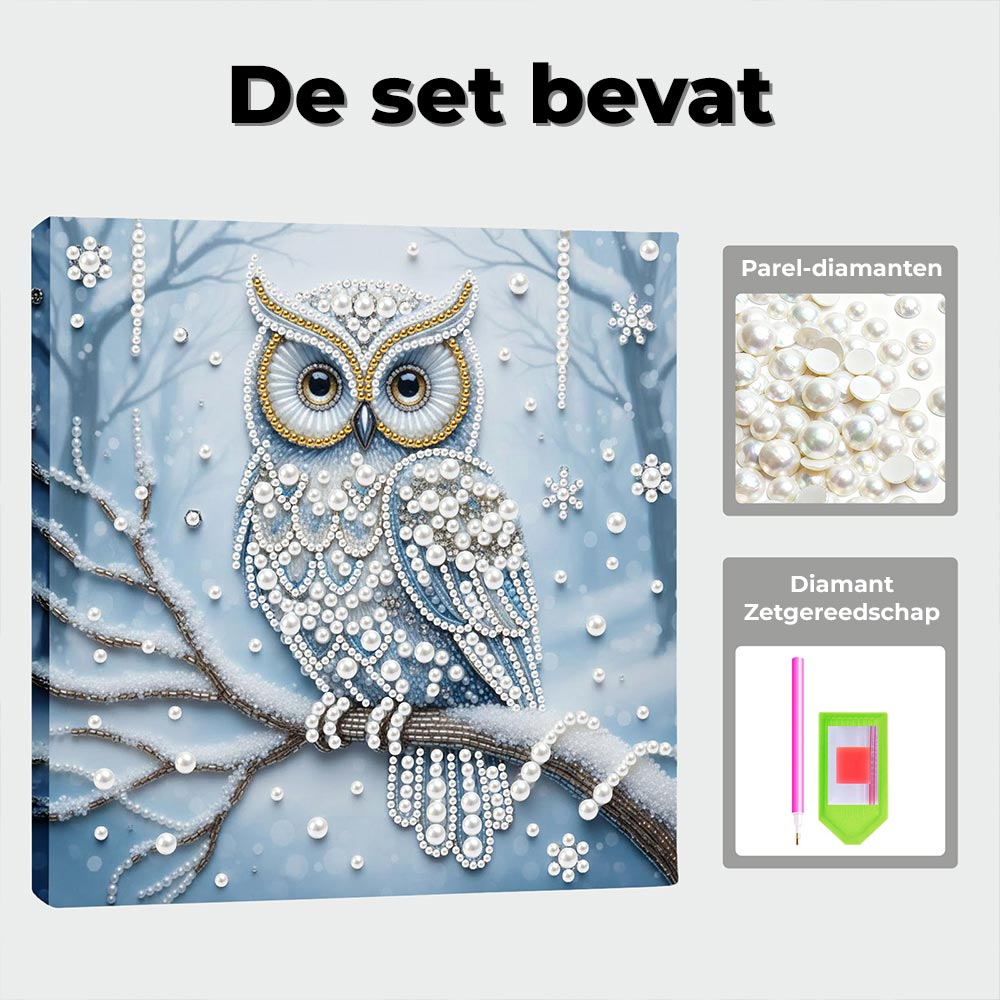 Diamond Painting | Parel Schilderij | Uil in het Sneeuwbos