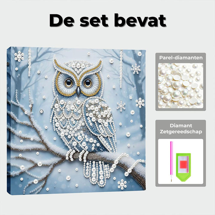 Diamond Painting | Parel Schilderij | Uil in het Sneeuwbos