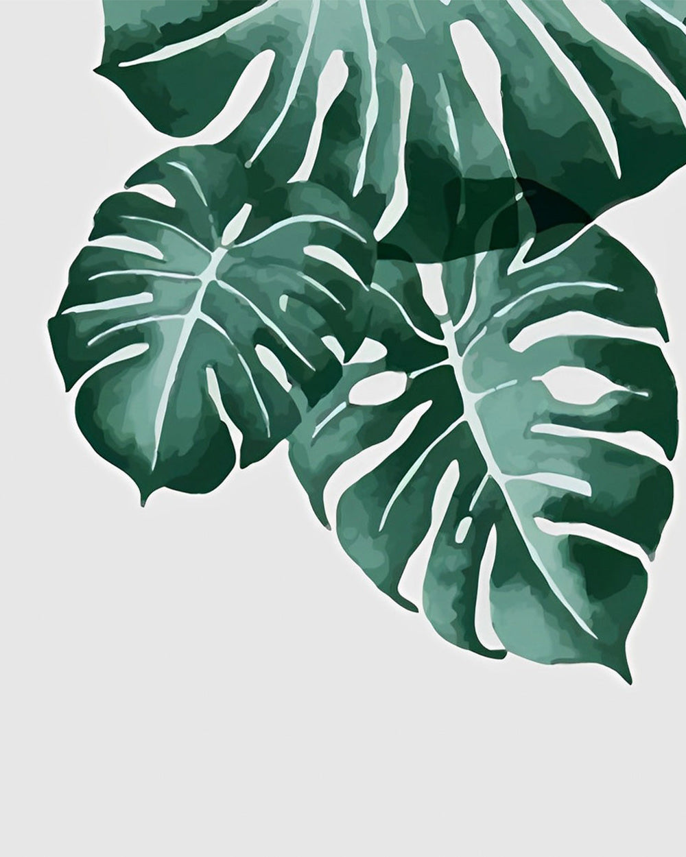 Drie Monstera Bladeren Diamond Painting