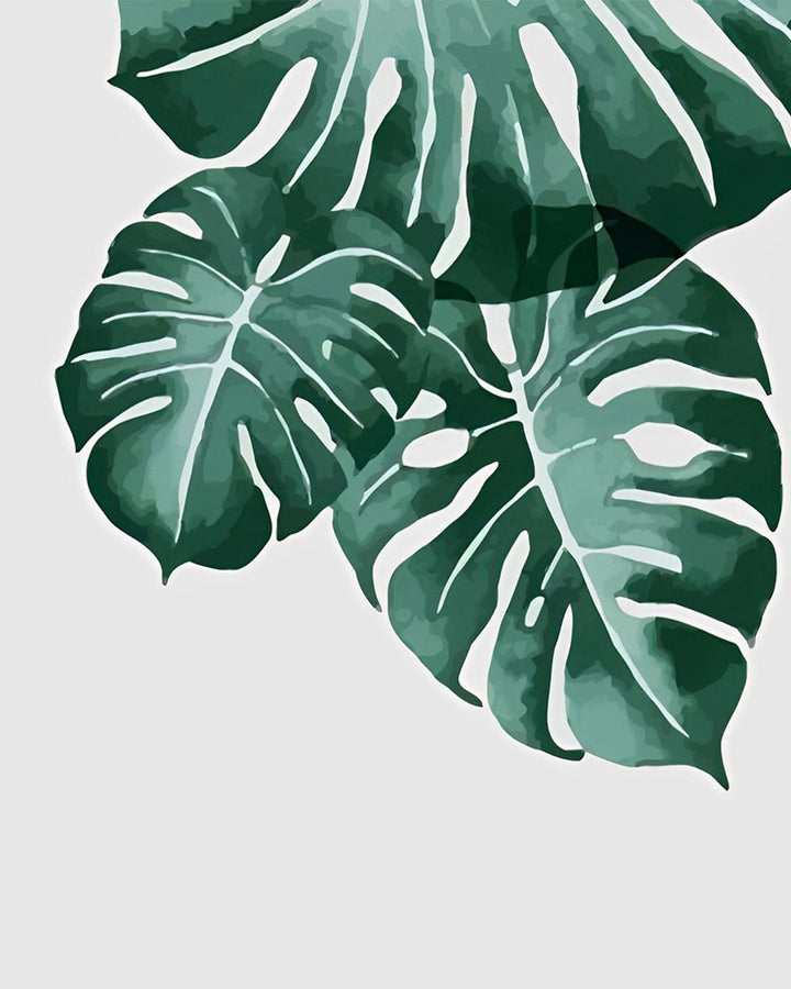 Drie Monstera Bladeren Diamond Painting