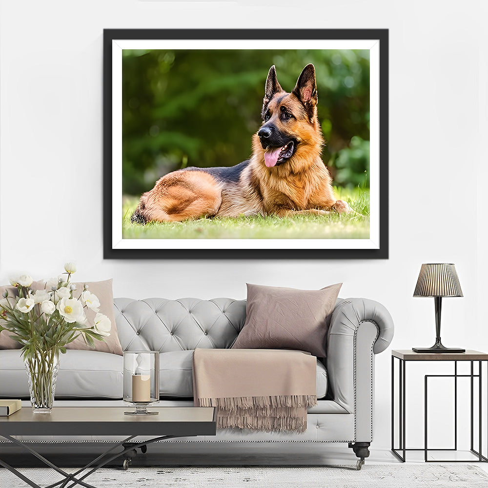 Duitse Herdershond op de Graslanden Diamond Painting