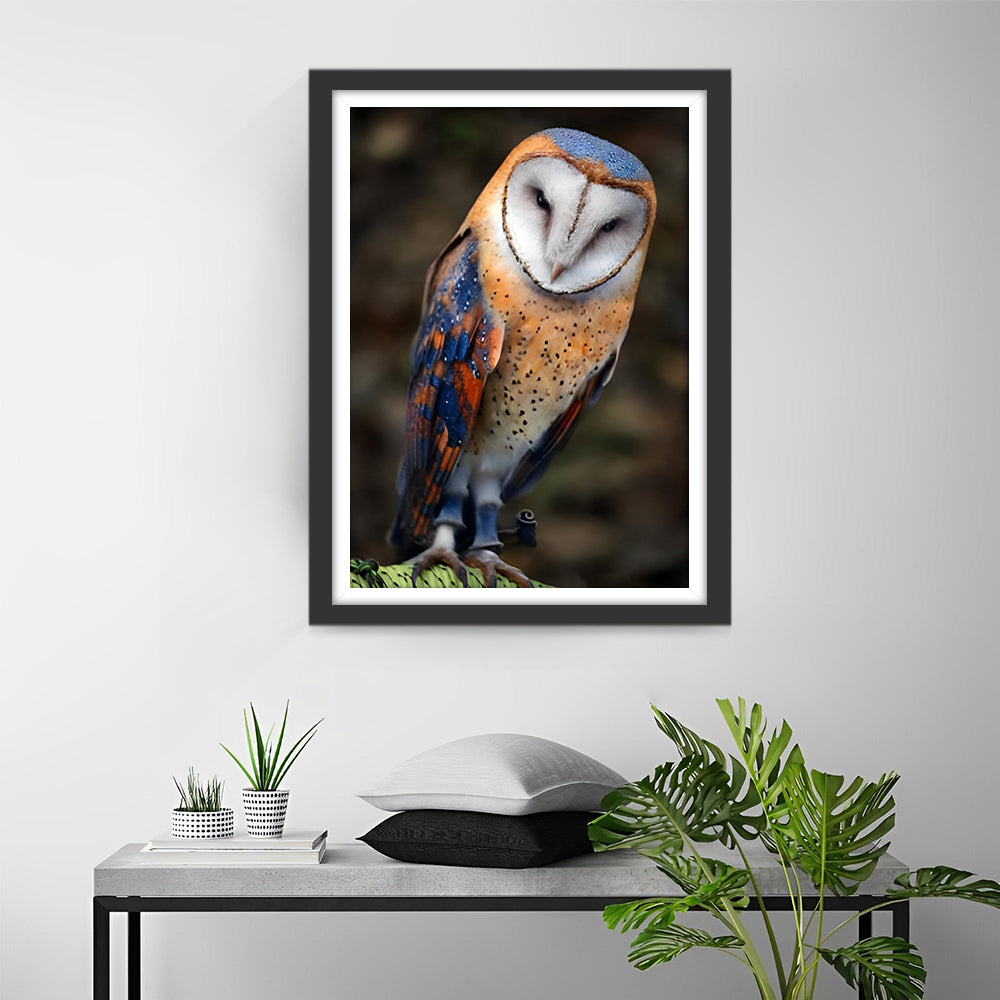 Een Kleurrijke Uil met Kleine Ogen Diamond Painting