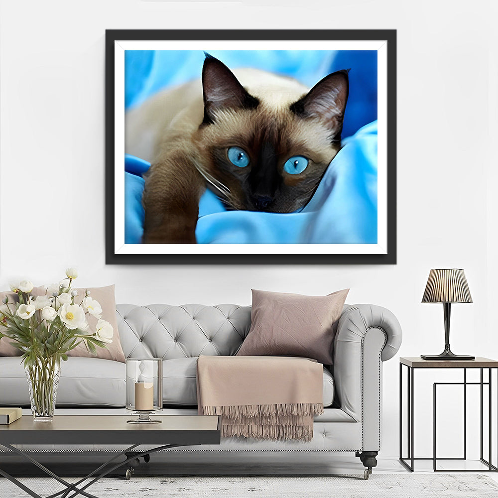 Grijze Kat met Blauwe Ogen Diamond Painting