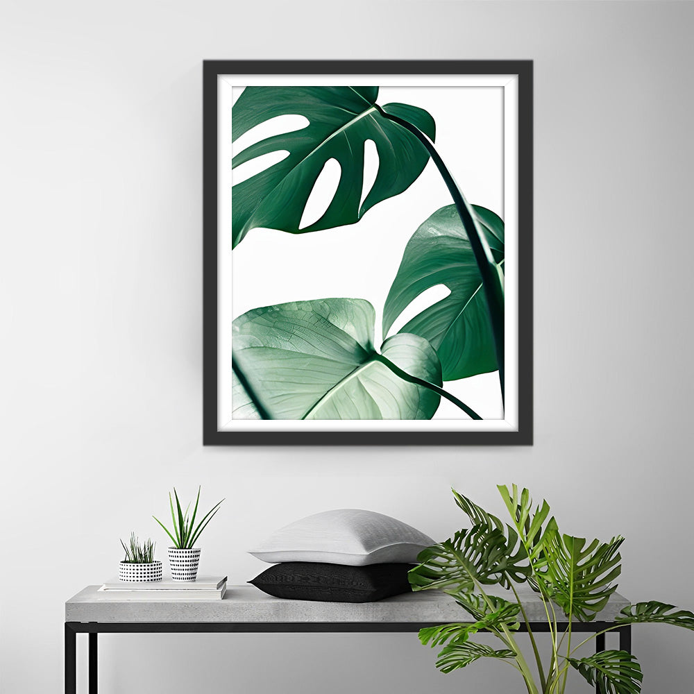 Groene Monstera Bladeren Diamond Painting