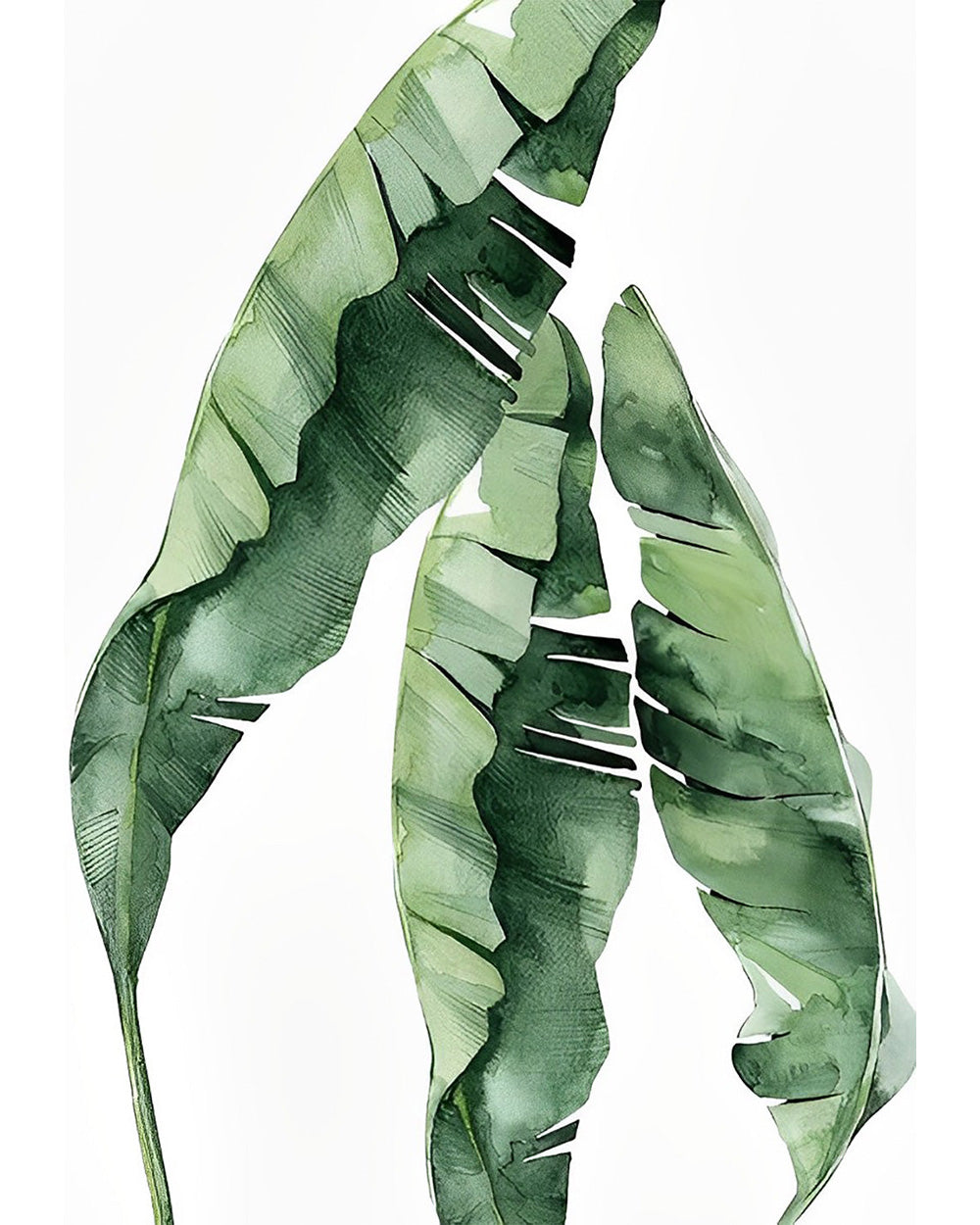 Grote Groene Bladeren Diamond Painting