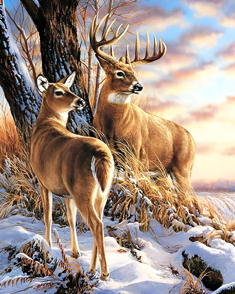 Herten en Sneeuw Diamond Painting