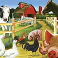 Boerderijdieren
