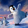 Pinguïn