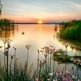 Natuur