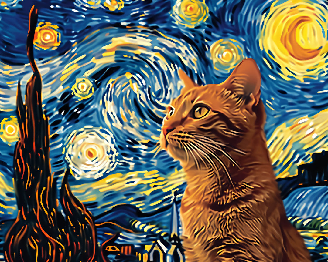 Oranje Kat en de Sterrenhemel Diamond Painting