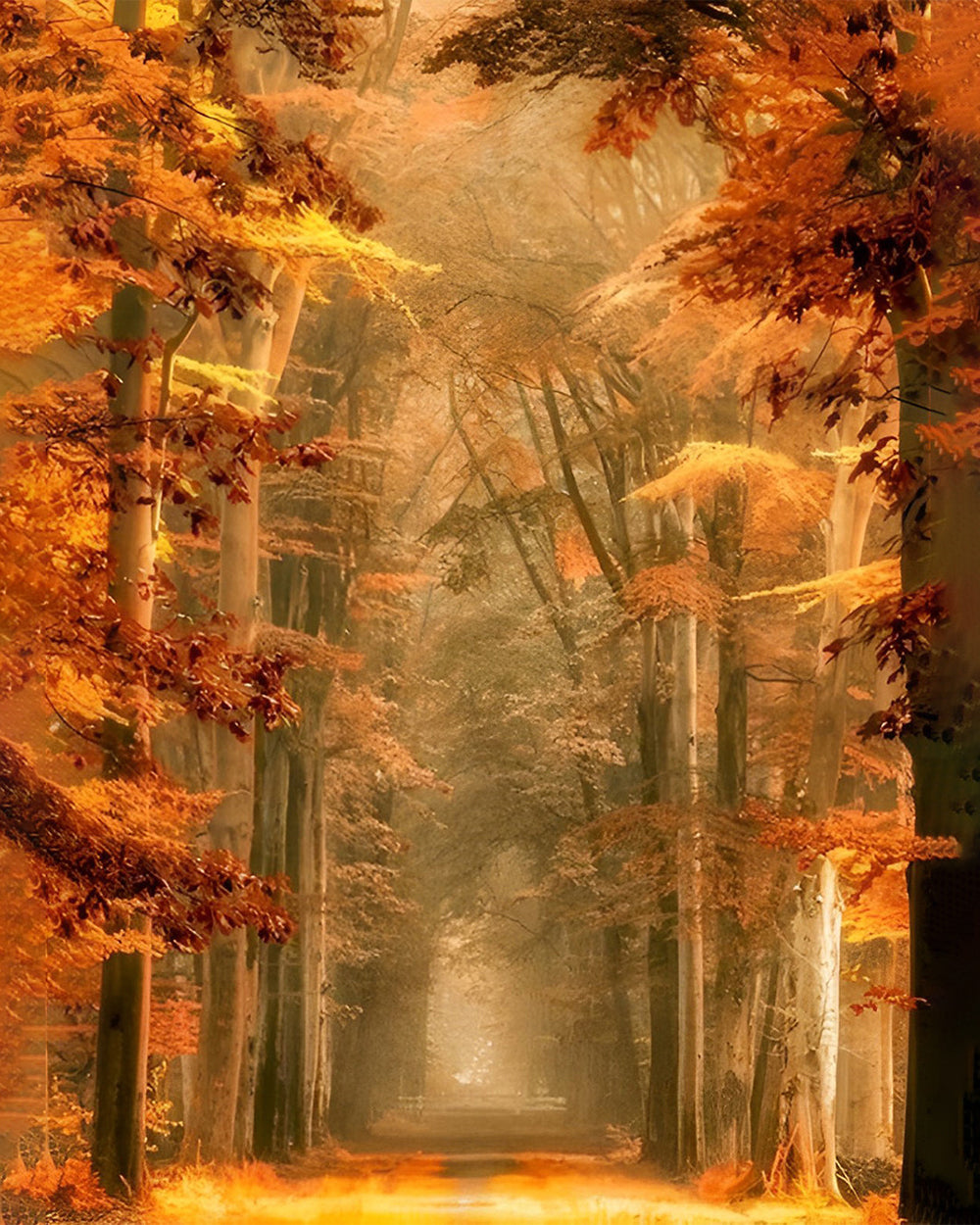 Pad in Het Herfstbos Diamond Painting