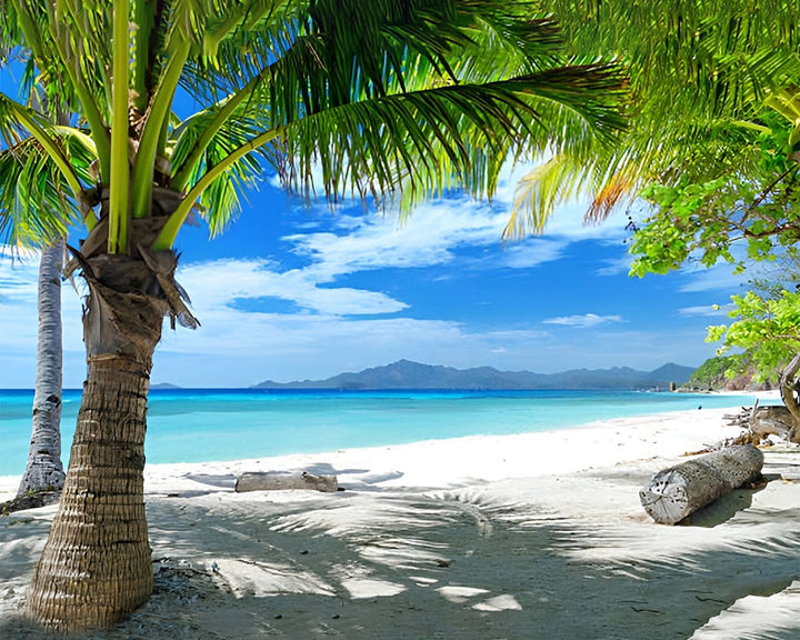 Palmbomen op het Strand Diamond Painting