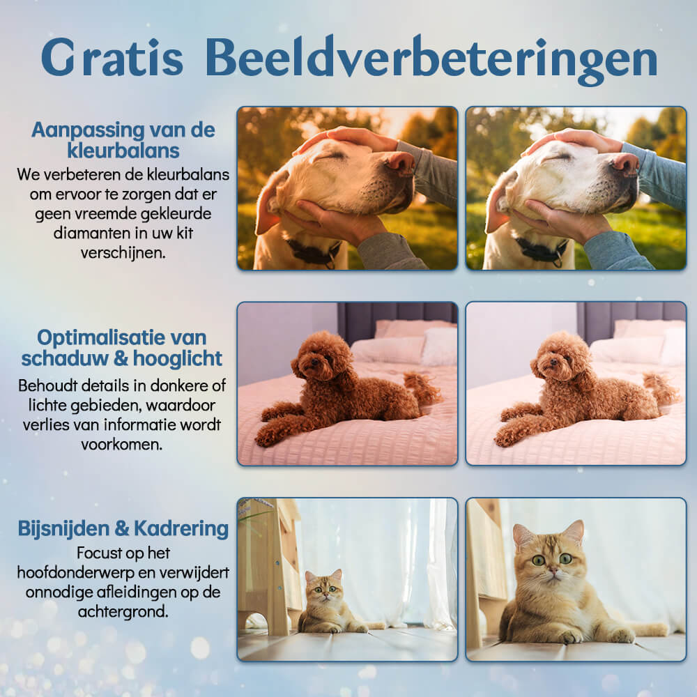 Eigen Foto Diamond Painting