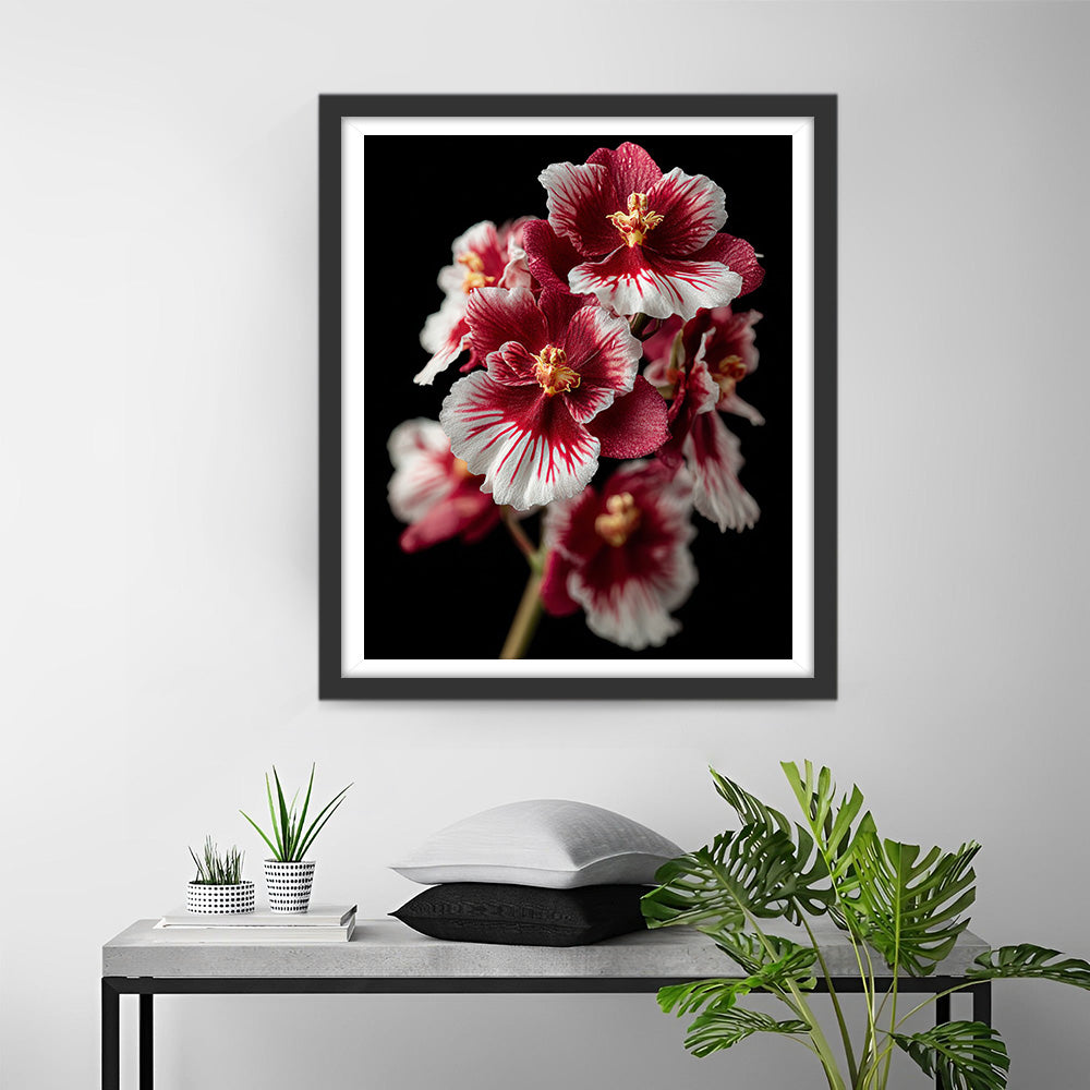 Rode en Witte Orchideeën Diamond Painting