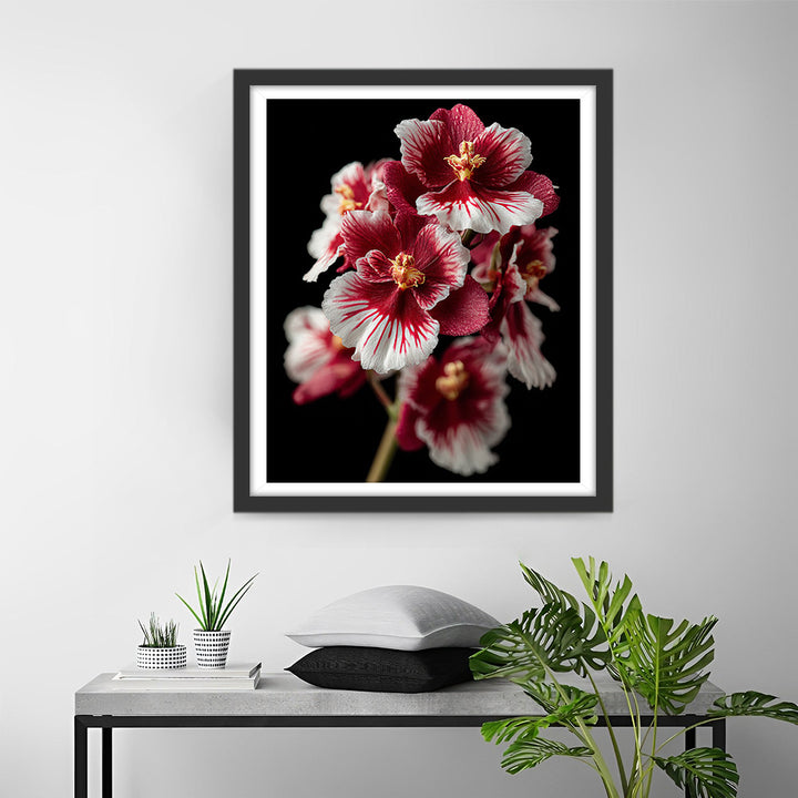 Rode en Witte Orchideeën Diamond Painting