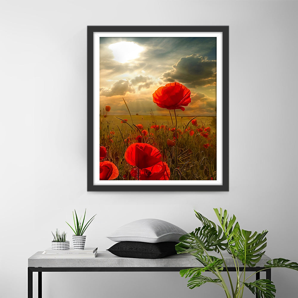 Rode Klaprozen onder Donkere Wolken Diamond Painting