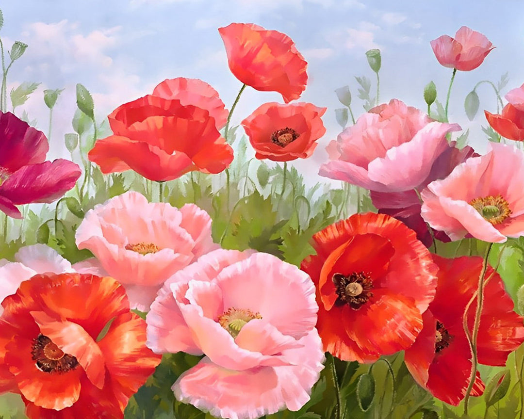 Roze en Rode Klaprozen Diamond Painting