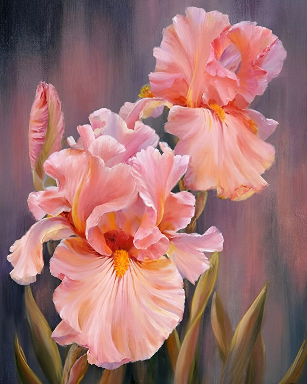 Roze Iris Diamond Painting